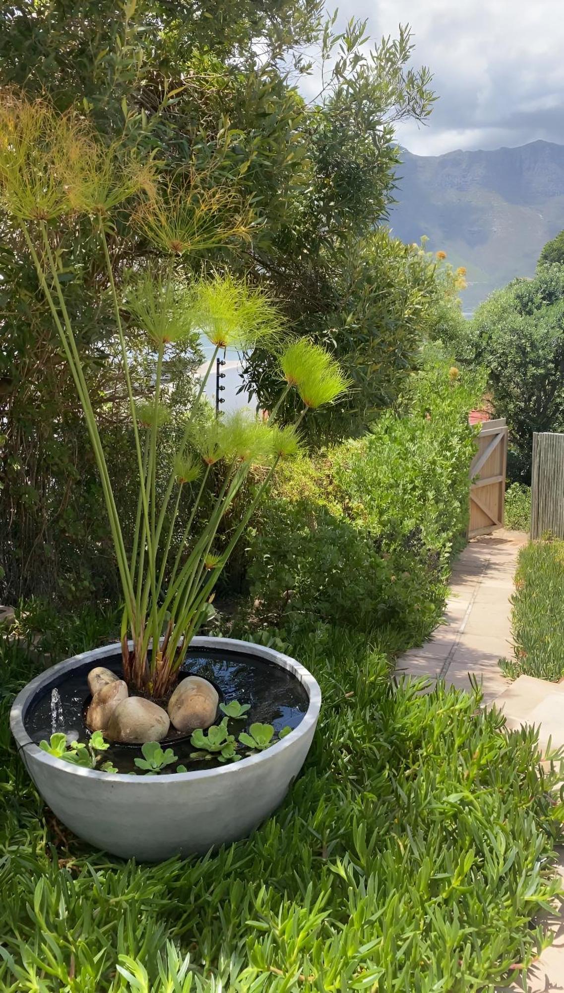 Beautiful View Garden Apartment Cape Town Eksteriør bilde